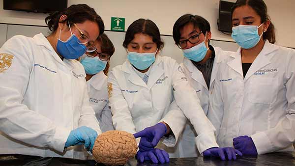 Se feminiza la medicina: Ana Carolina Sepúlveda