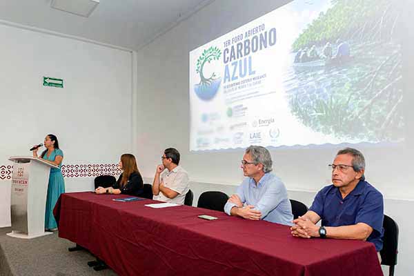 Priorizan agenda sobre carbono azul en ecosistemas costeros