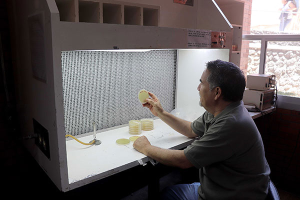 Superbacteria global se aloja en seres vivos, agua y alimentos: Santiago Castillo Ramírez