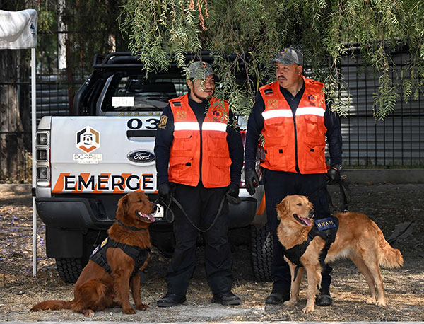 Nombran Cuauhtli y Balam a los caninos donados para la protección de la comunidad universitaria