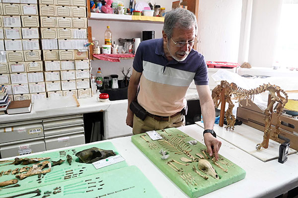 Calupoh es animal de compañía, más que perro guardián: Raúl Valadez Azúa