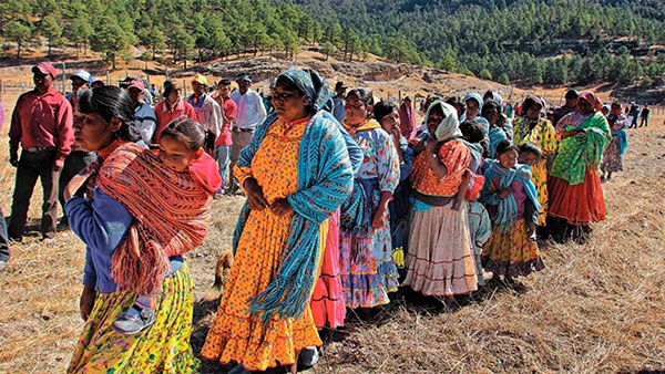 Aportan observaciones y comentarios a la Ley General de Derechos de Pueblos Indígenas y Afromexicanos
