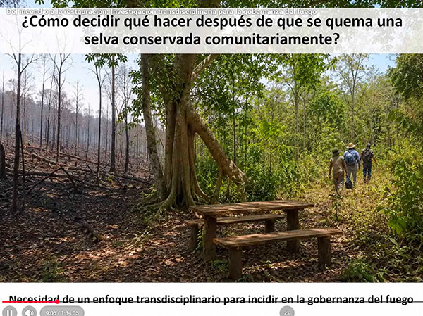 Especialista sugiere abordaje transdisciplinario para la regeneración forestal